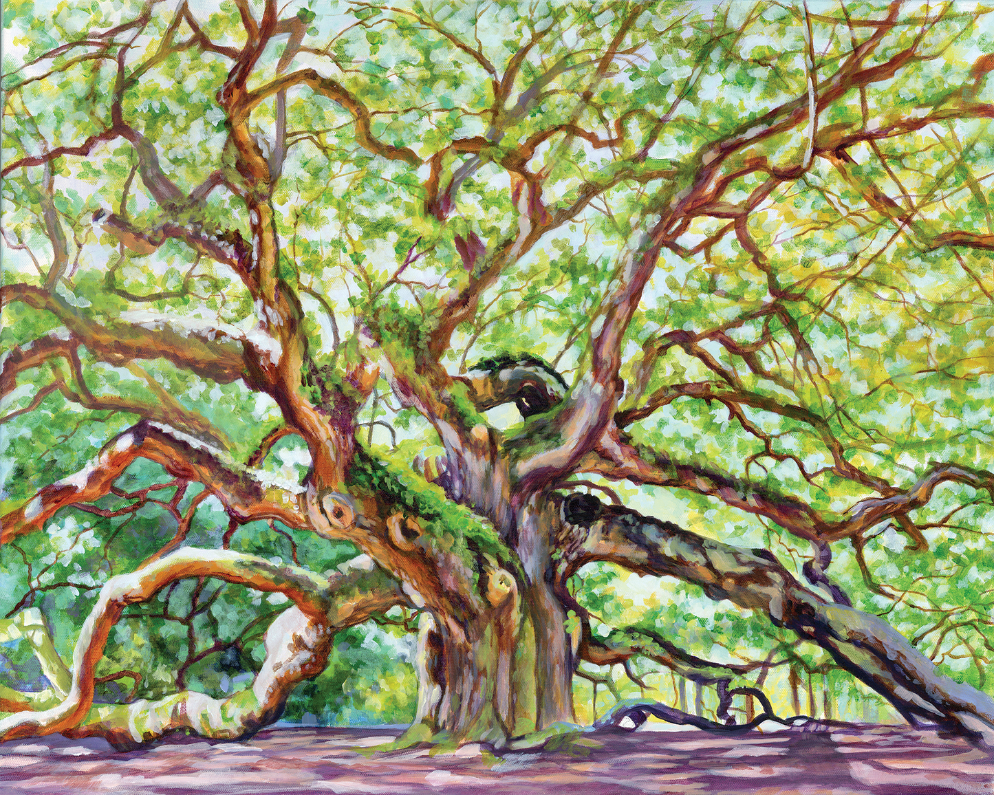 ANGEL OAK