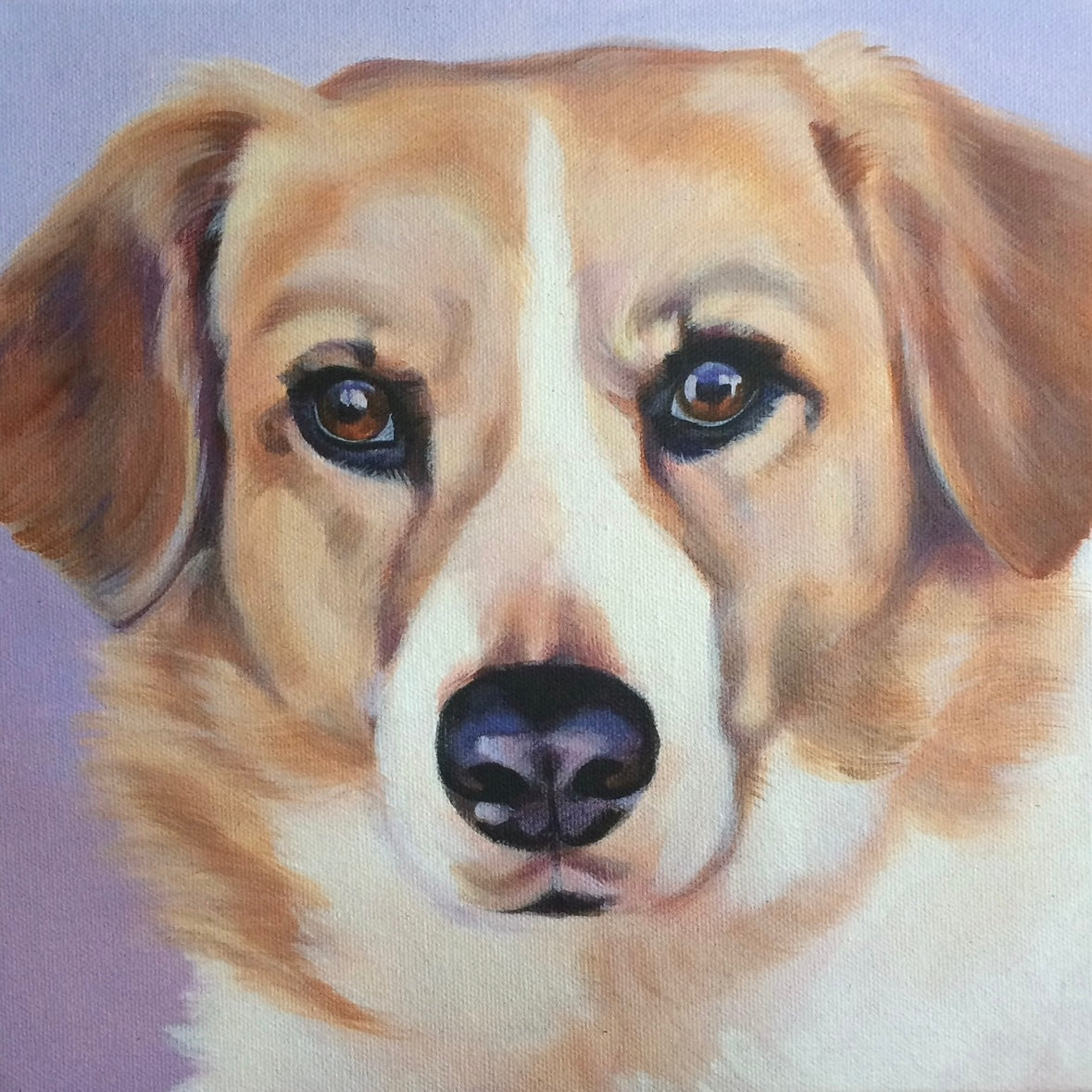 CUSTOM PET PORTRAITS (prices vary)