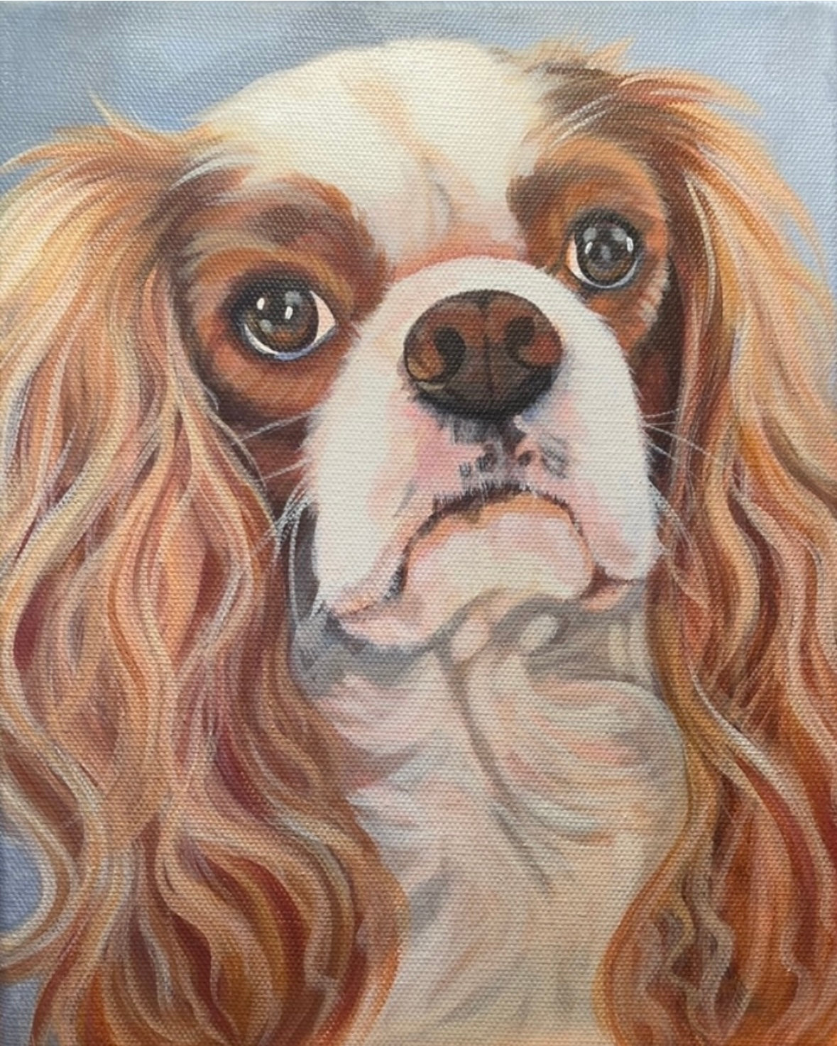 CUSTOM PET PORTRAITS (prices vary)