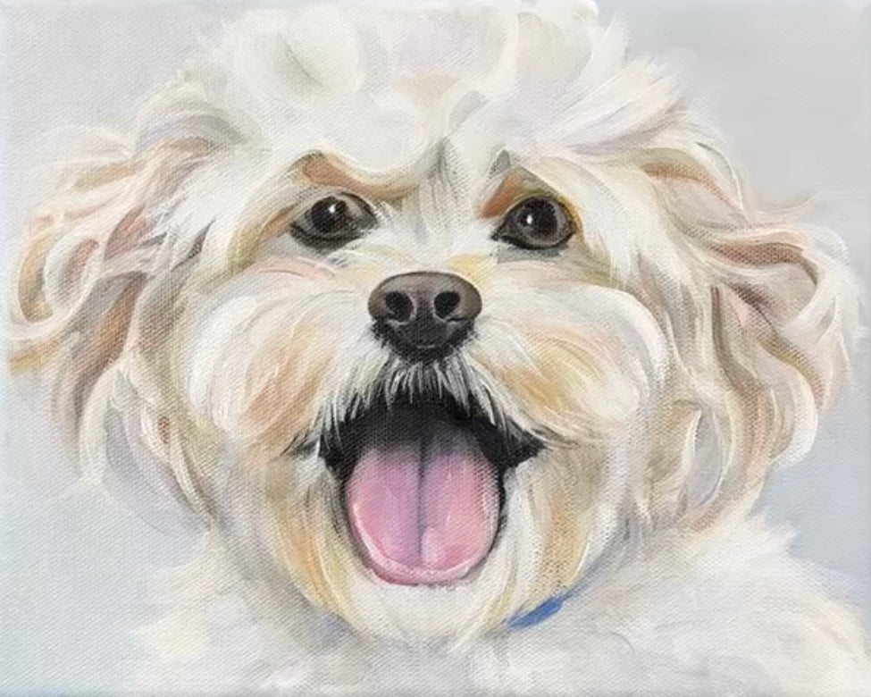 CUSTOM PET PORTRAITS (prices vary)