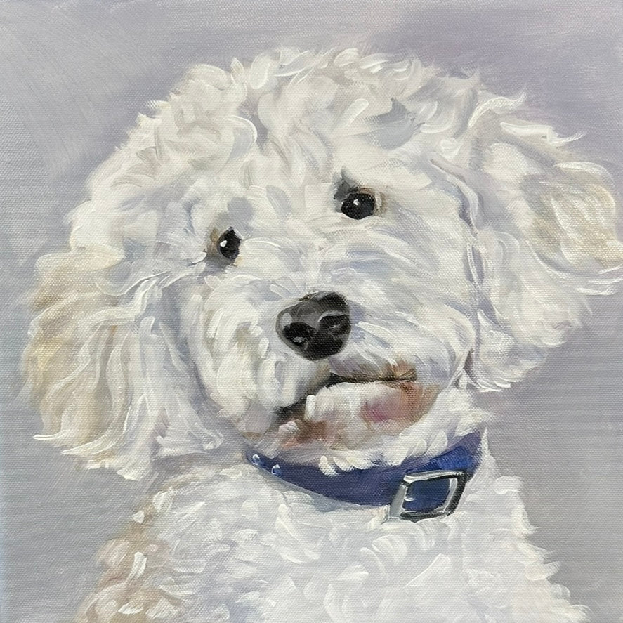 CUSTOM PET PORTRAITS (prices vary)